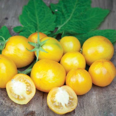 Körsbärstomat 'Tigerette Cherry'