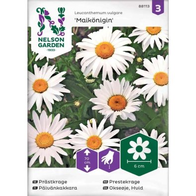 Prästkrage 'Maikönigin'