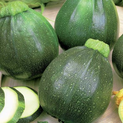 Squash / Sommarpumpa 'Eight Ball' F1