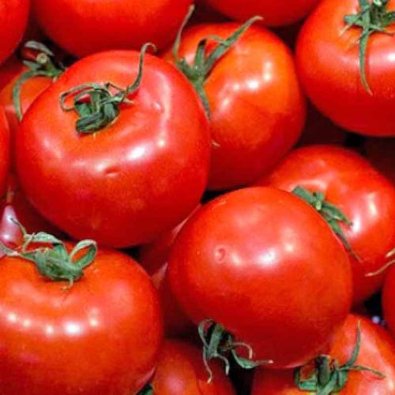 Tomat 'Domingo'