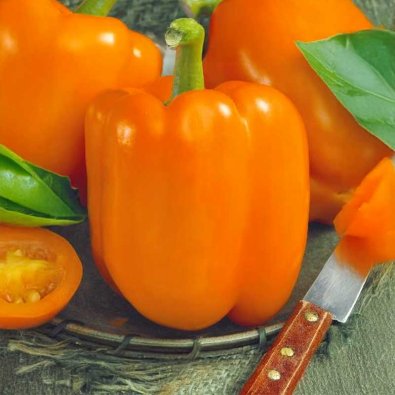 Paprika 'Rewia'