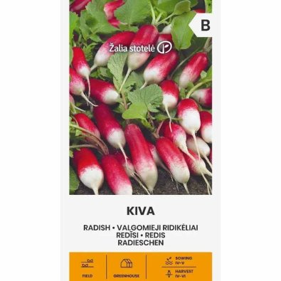 Rädisa 'Kiva'