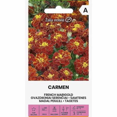 Fløyelsblomst 'Carmen'