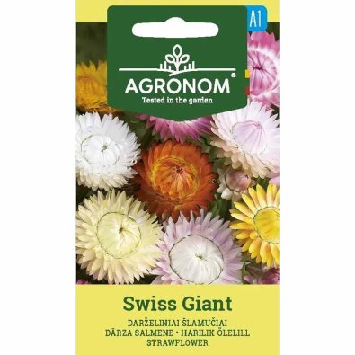 Evighetsblomst 'Swiss Giants'