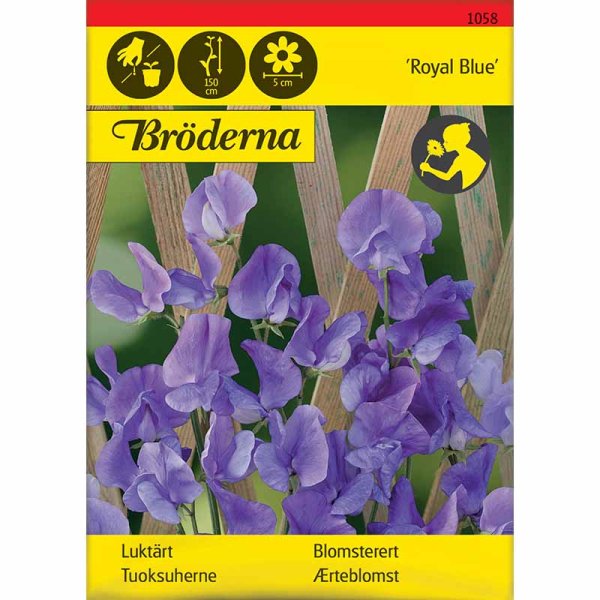 Zoom bilde av Erteblomst 'Royal Blue'