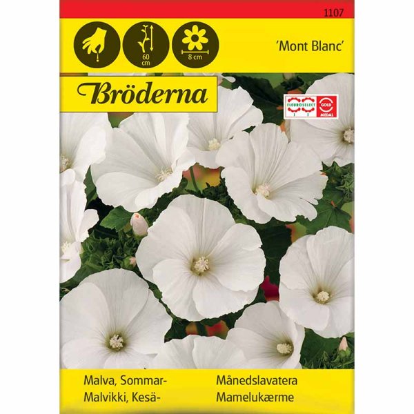 Zoom bild av Sommarmalva 'Mont Blanc'