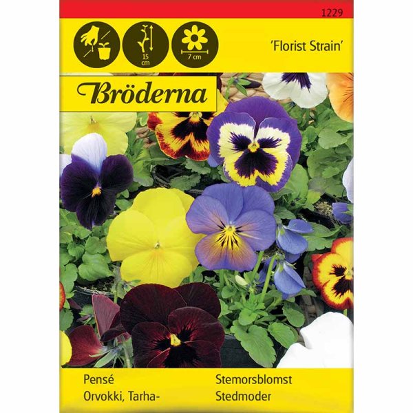 Zoom bild av Pensé 'Florist Strain' mix