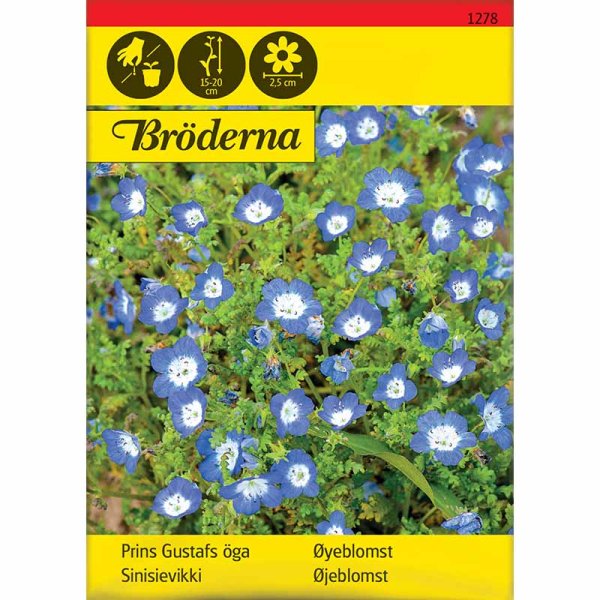Zoom bild av Prins Gustafs öga
