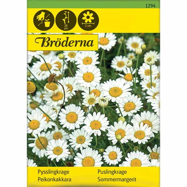 Zoom bild av Pysslingkrage