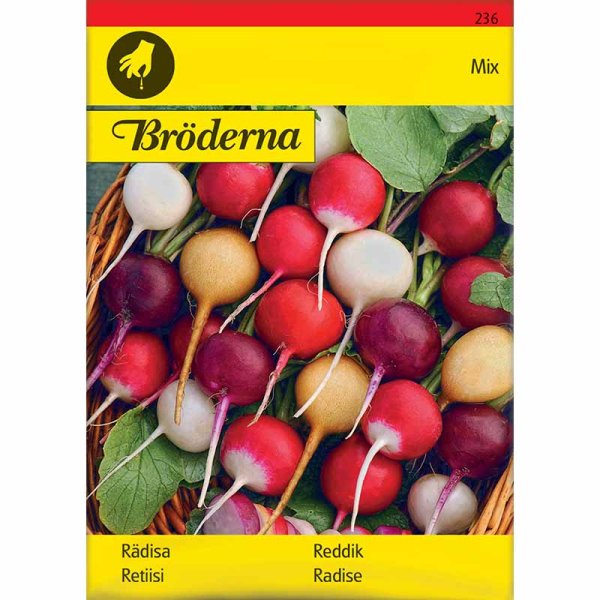 Zoom bild av Rädisa blandade färger