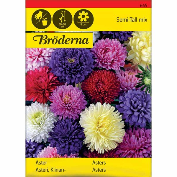 Zoom bilde av Dobbel aster mix Økologisk