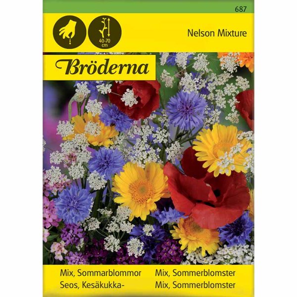 Zoom bild av Sommarblomsmix 'Nelson Mixture'