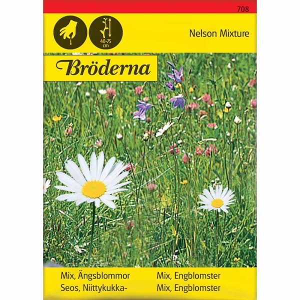 Zoom bild av Ängsblommor mix