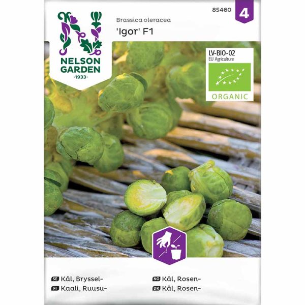 Zoom bilde av Rosenkål 'Igor' F1, Organic