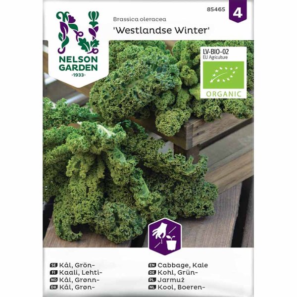 Zoom bild av Grönkål 'Westlandse Winter' Organic