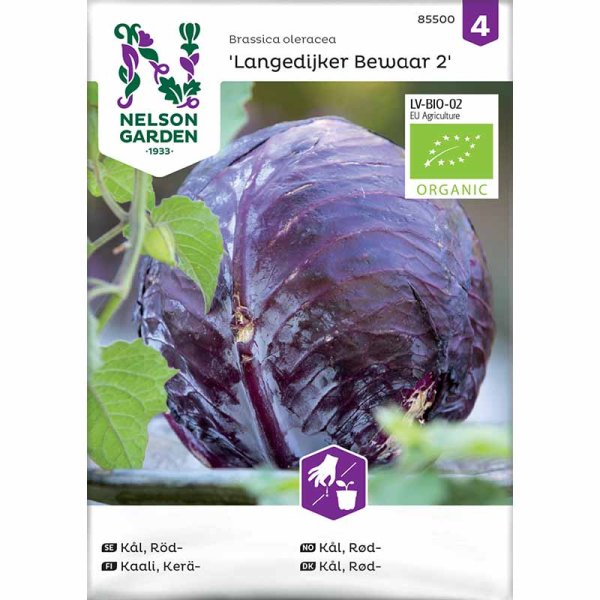 Zoom bilde av Rødkål 'Langedijker Bewaar 2' Organic