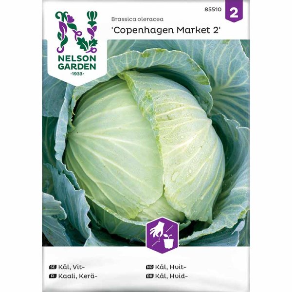 Zoom bilde av Hodekål 'Copenhagen Market 2'