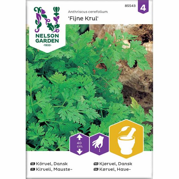 Zoom bild av Dansk Körvel 'Fijne Krul'