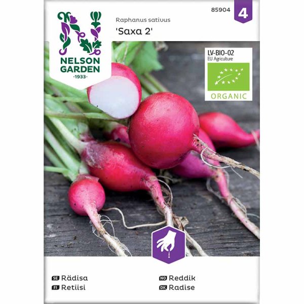 Zoom bild av Rädisa 'Saxa 2' Organic