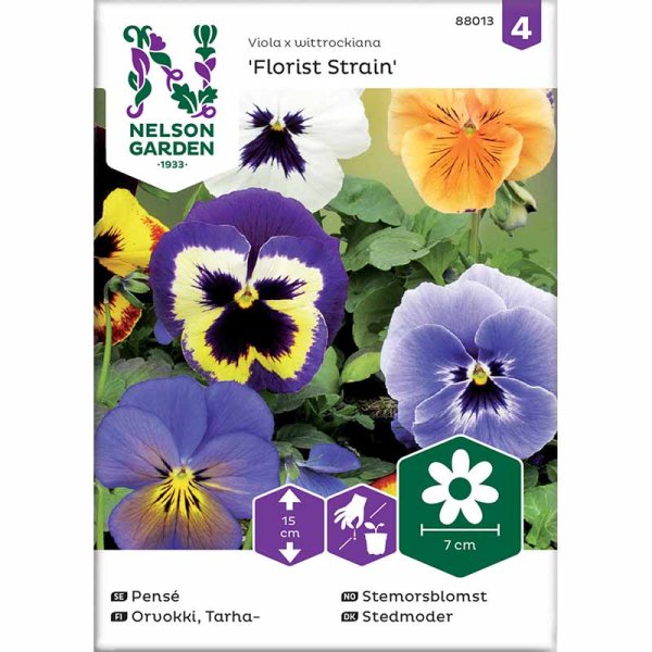 Zoom bild av Pensé 'Florist Strain' mix