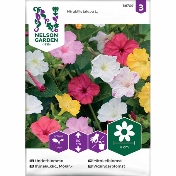 Zoom bild av Underblomma Mix