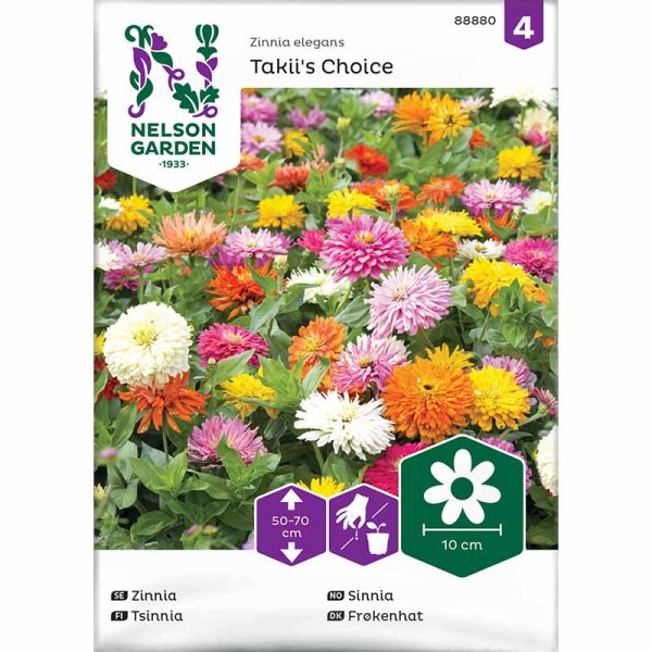 Zoom bilde av Zinnia 'Takii´s Choice'