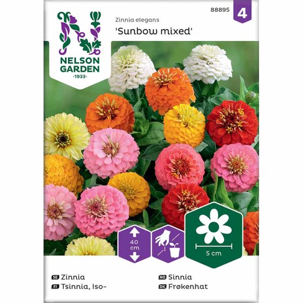 Zoom bilde av Zinnia Sunbow blandede farger