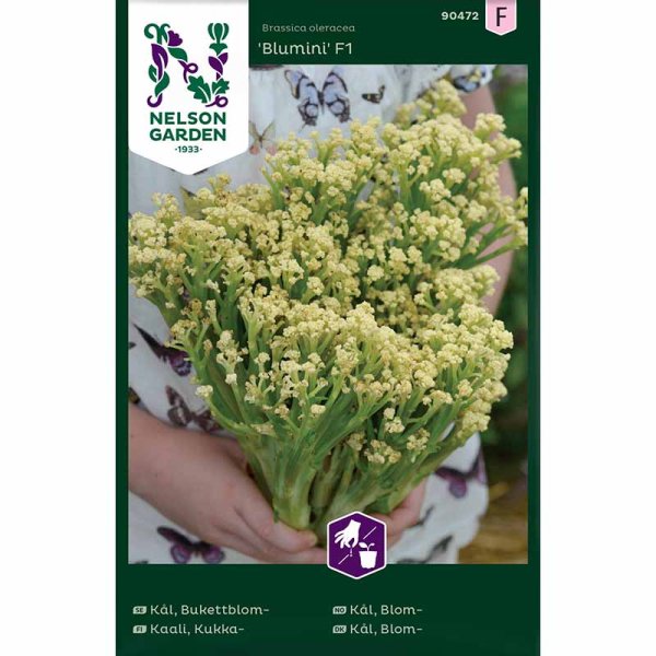 Zoom bilde av Blomkål 'Blumini' F1