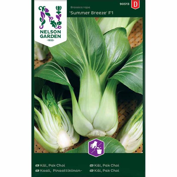 Zoom bild av Pak Choi 'Summer Breeze F1'