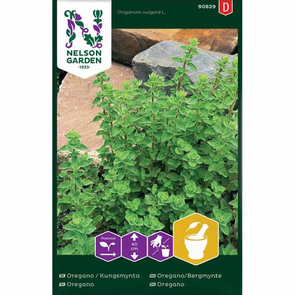 Zoom bild av Kungsmynta / Oregano