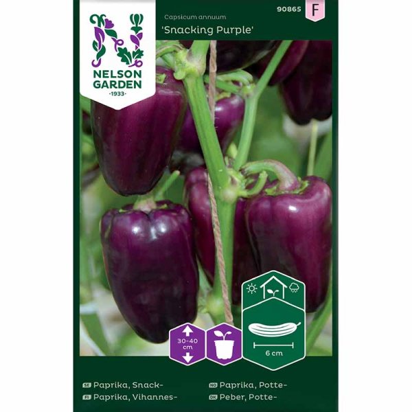 Zoom bild av Snackpaprika 'Snacking Purple'