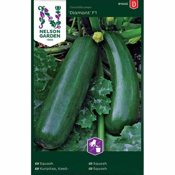 Zoom bilde av Squash / Sommersquash 'Diamant' F1
