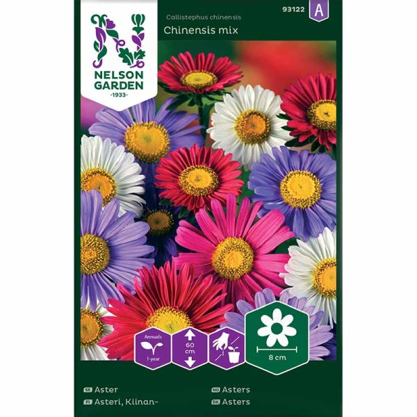 Zoom bilde av Sommeraster 'Chinensis mix'