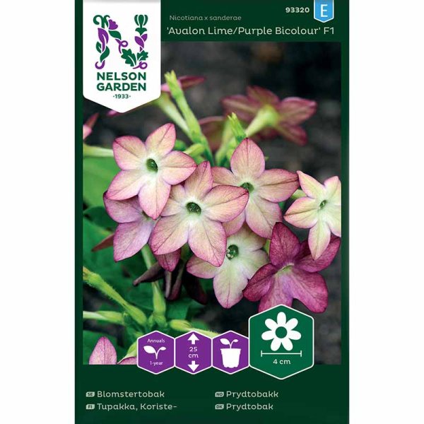 Zoom bilde av Pryd-tobakk 'Avalon Lime/Purple Bicolour F1'