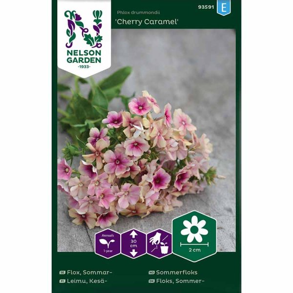 Zoom bild av Sommarflox 'Cherry Caramel'