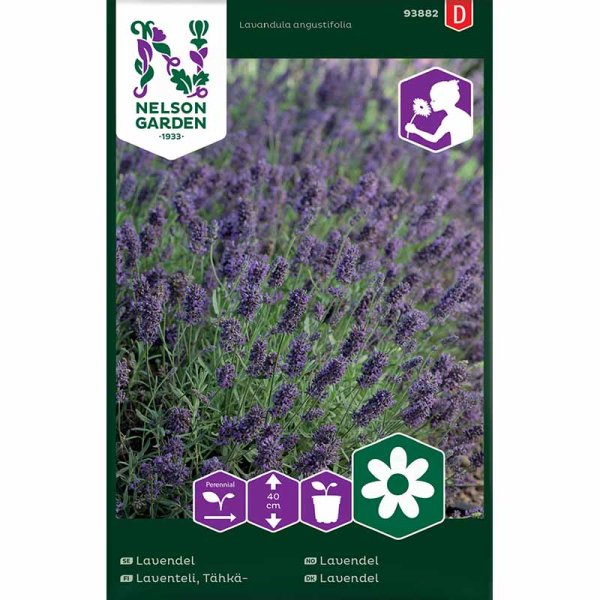 Zoom bild av Lavendel