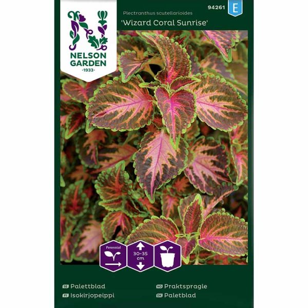 Zoom bild av Palettblad 'Wizard Coral Sunrise'