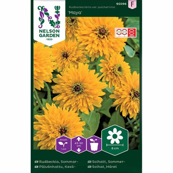 Zoom bilde av Sommerrudbeckia 'Maya'