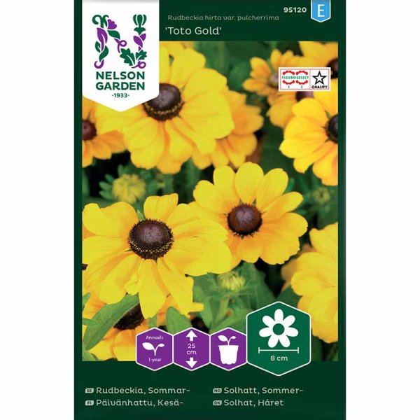 Zoom bild av Sommarrudbeckia 'Toto Gold'