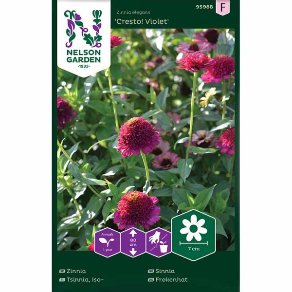 Zoom bild av Zinnia 'Cresto!'