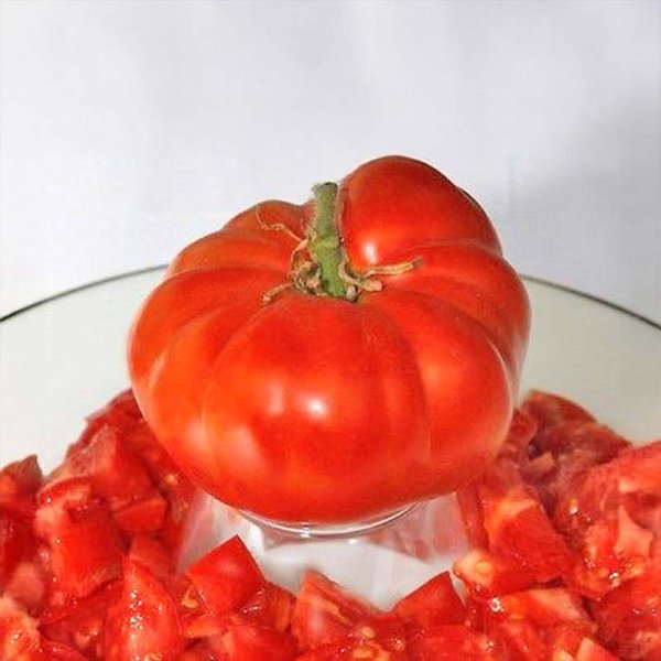 Zoom bild av Tomat 'Pantano Romanesco'