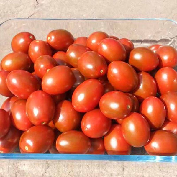 Zoom bild av Tomat 'Dark red egg'