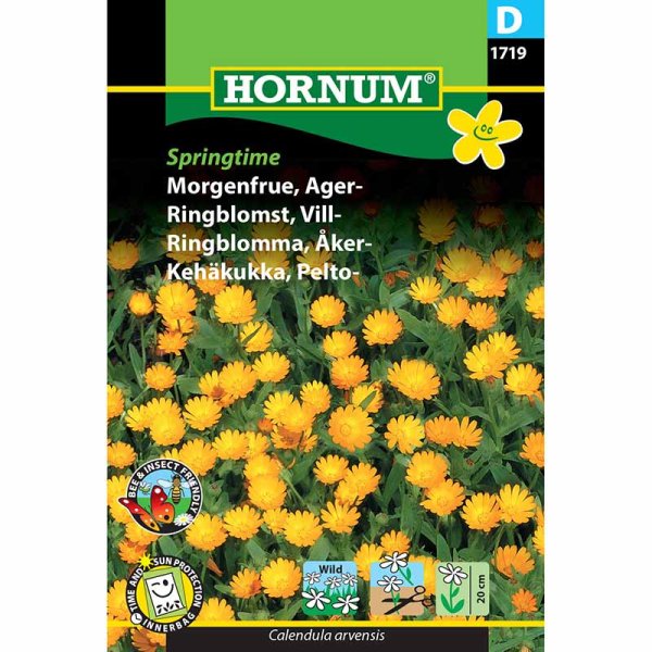 Zoom bilde av Ringblomst 'Springtime'