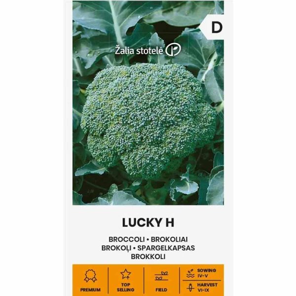 Zoom bild av Broccoli 'Lucky' H