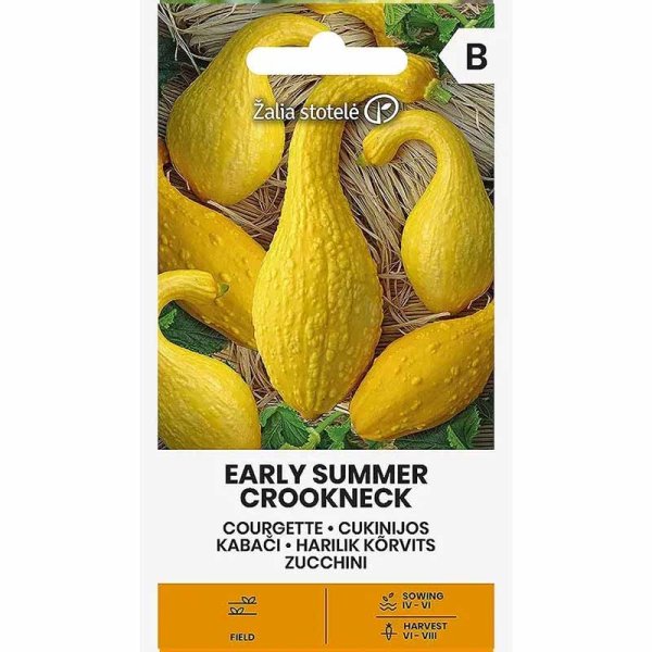 Zoom bilde av Squash 'Early summer crokneck'