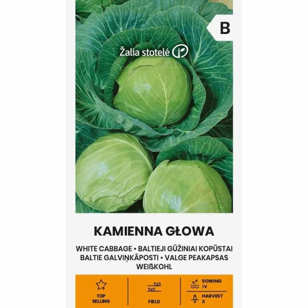 Zoom bild av Vitkål 'Kamienna Glowa'