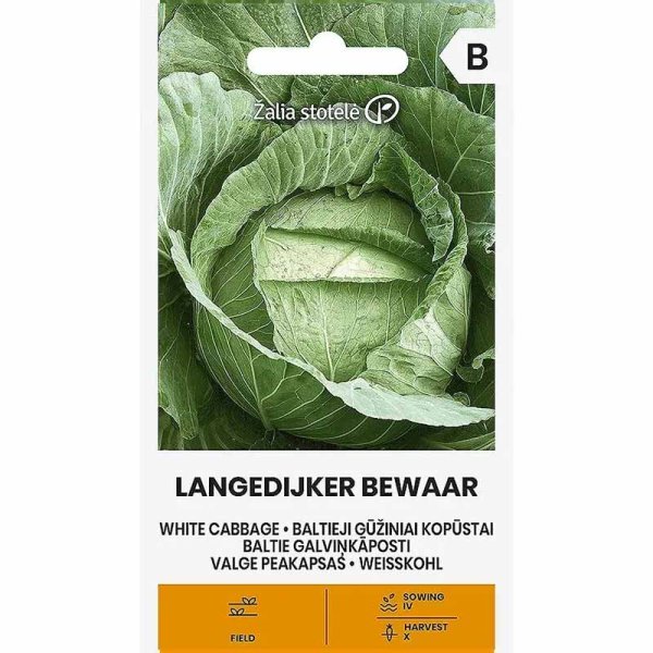 Zoom bild av Vitkål 'Langedijker bewaar'