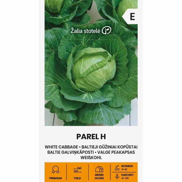Zoom bild av Vitkål 'Parel' H