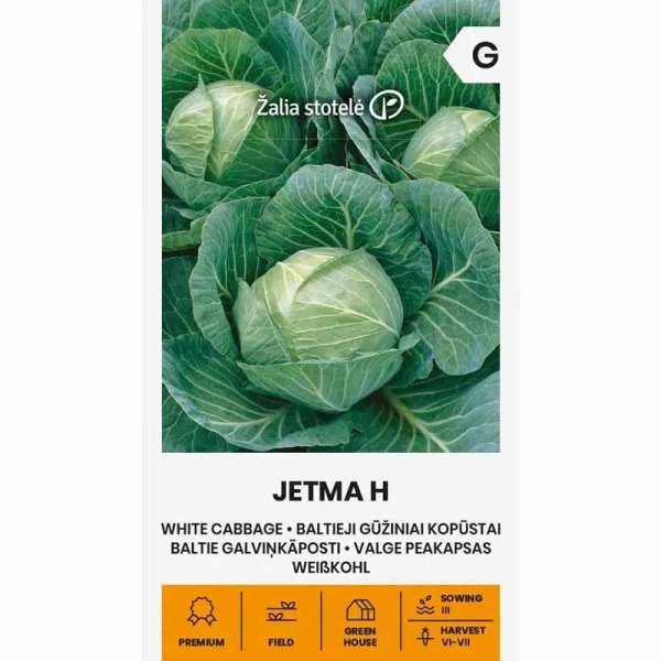 Zoom bild av Vitkål 'Jetma' H