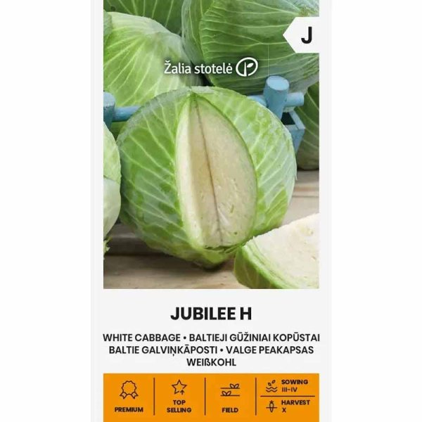 Zoom bild av Vitkål 'Jubilee' H